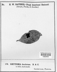 Image Associated With the Occurence